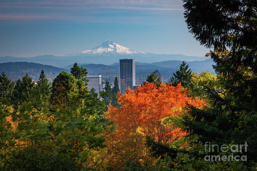 Portland Fall Skyline Photograph by Inge Johnsson
