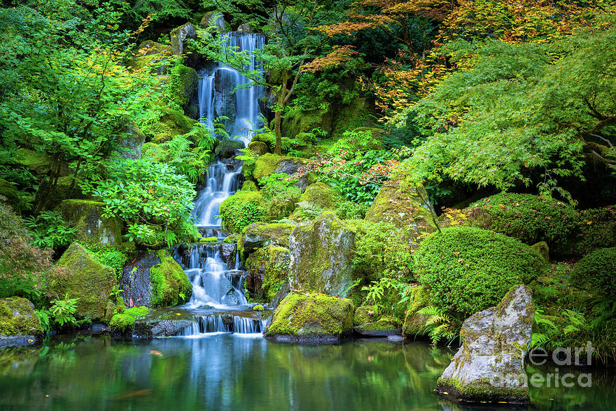 Portland Japanese Waterfall Photograph by Inge Johnsson