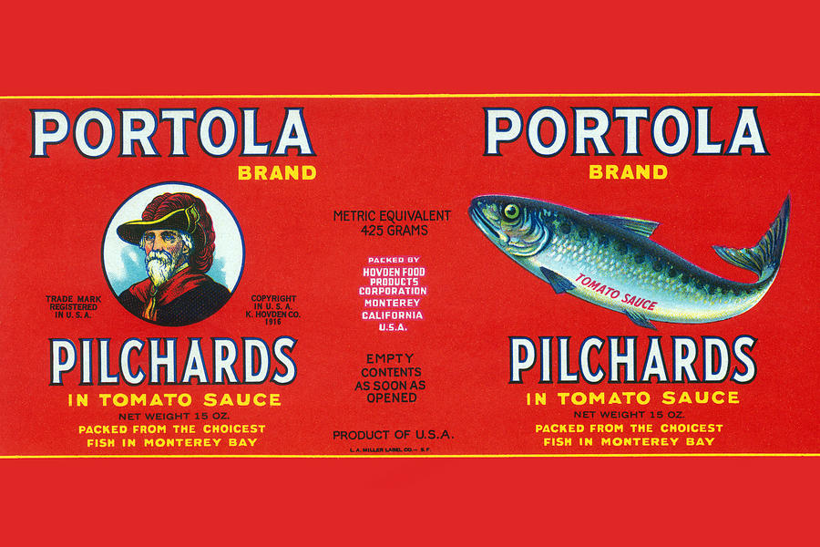 Portola Pilchards Painting by Unknown