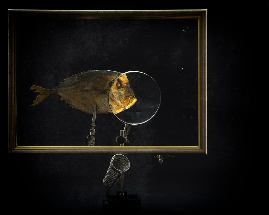 Fish Photograph - Portrait Framed by Brigbarkow