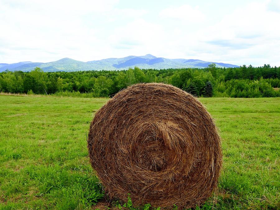 Portrait Of A Bale Of Hay Photograph by Alida M Haslett