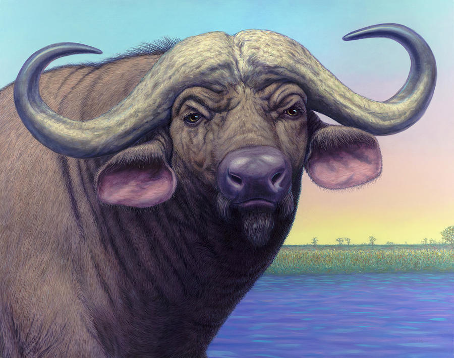 Portrait of a Cape Buffalo Painting by James W Johnson