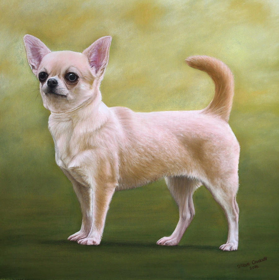 Portrait Painting - Portrait Of A Chihuahua by Steve Crockett