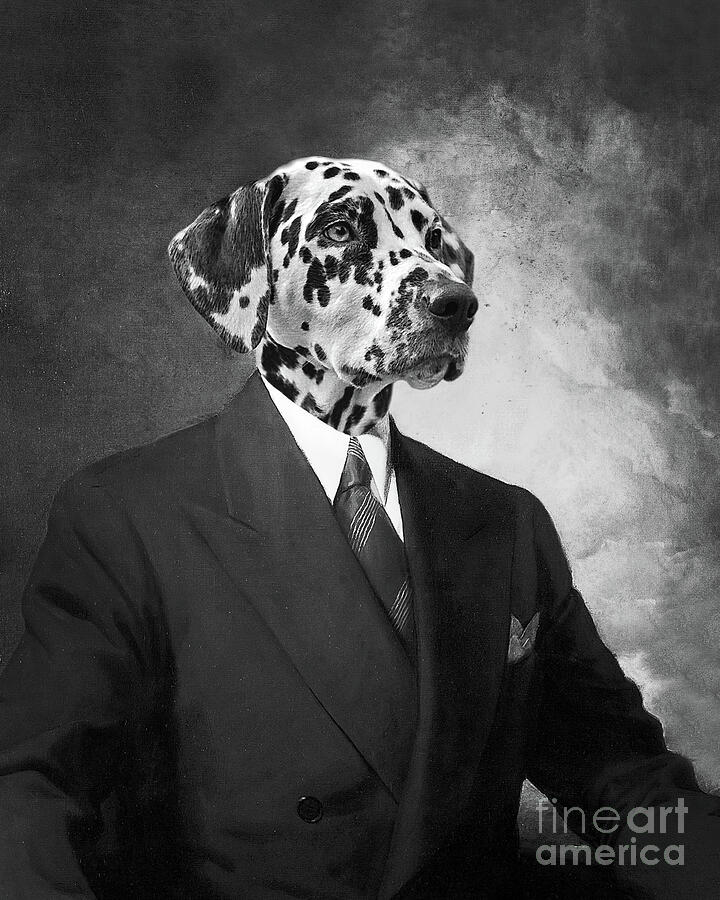 Surrealism Painting - Portrait of a dalmatian dog in a black suit by Delphimages Photo Creations
