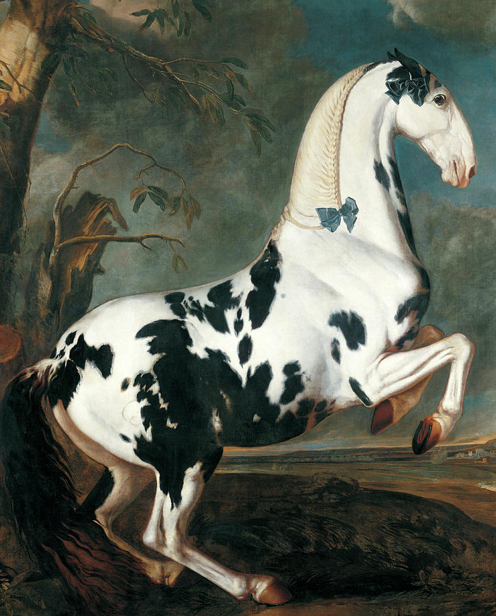 Portrait of a Dappled Horse Painting by Johann Georg de Hamilton - Pixels