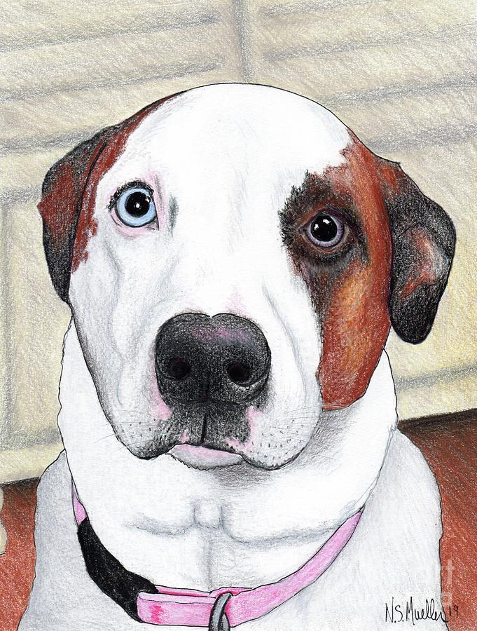 Portrait of a Dog Named Dave Drawing by Nancy Mueller
