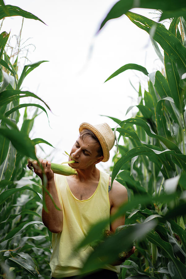 Nature Photograph - Portrait Of A Farm Man In A Hat In Field Eating Leaves Of The Corn. by Cavan Images