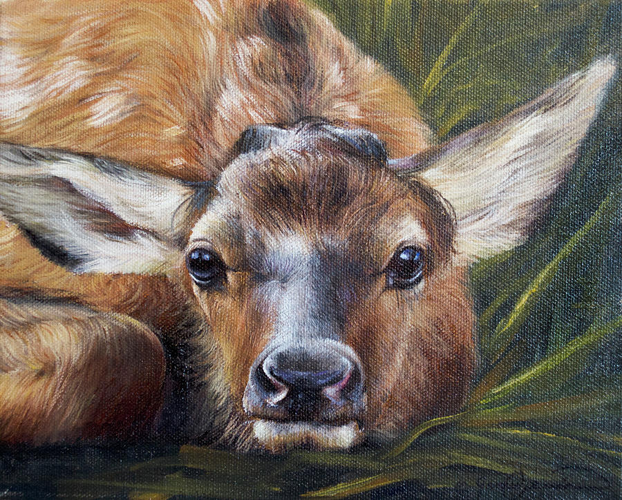 Wildlife Painting - Portrait Of A Fawn by James Corwin Fine Art