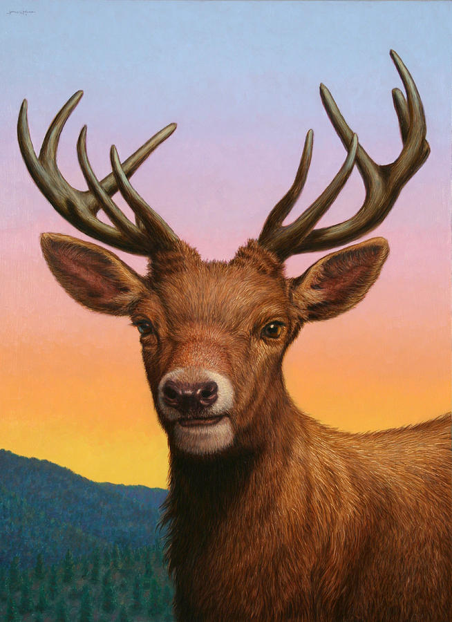 Deer Painting - Portrait of a Red Deer by James W Johnson