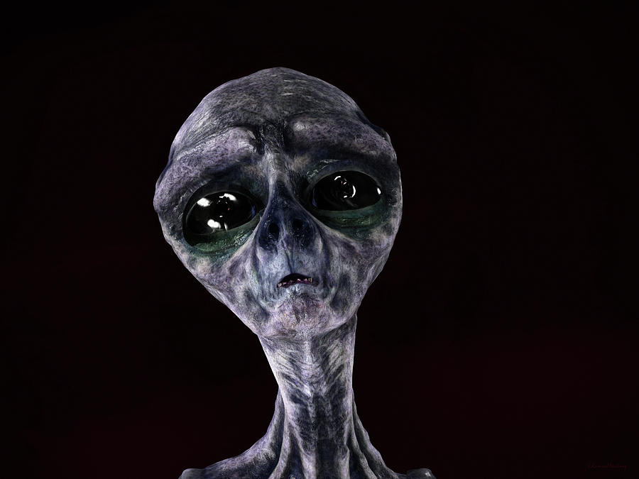 Portrait of a sad alien Digital Art by Ramon Martinez
