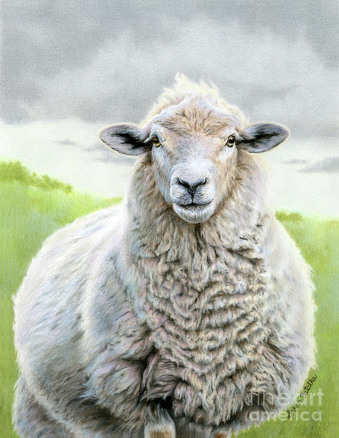 sheep painting - Online Discount Shop for Electronics, Apparel, Toys, Books, Games, Computers, Shoes, Jewelry, Watches, Baby Products, Sports &amp; Outdoors, Office Products, Bed &amp; Bath, Furniture, Tools, Hardware, Automotive Parts, Accessories