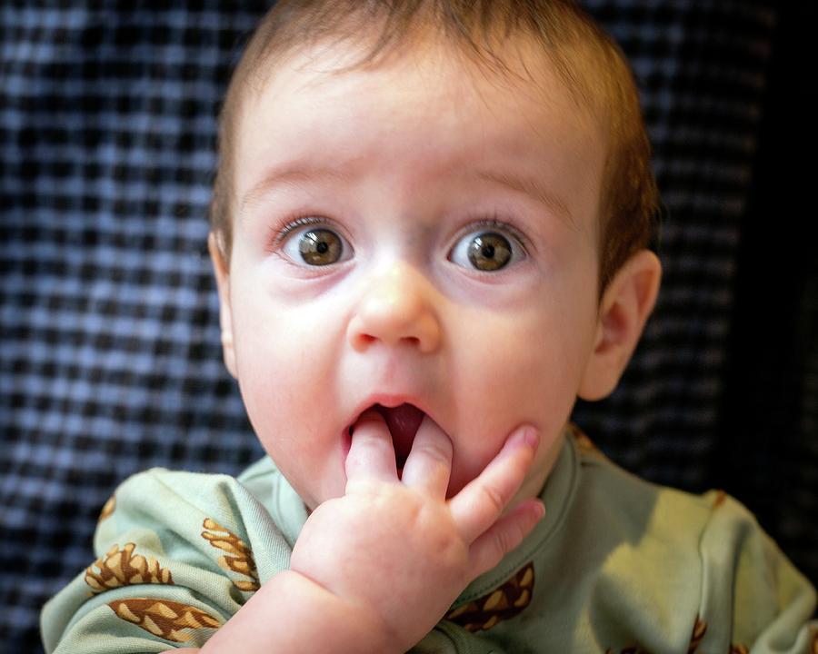 portrait-of-a-six-month-old-baby-girl-photograph-by-lluis-real-fine