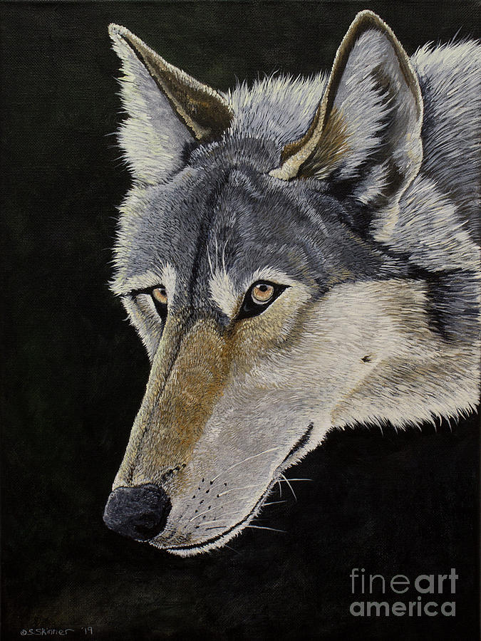 Portrait Of A Wild Wolf Painting By Sarah Skinner