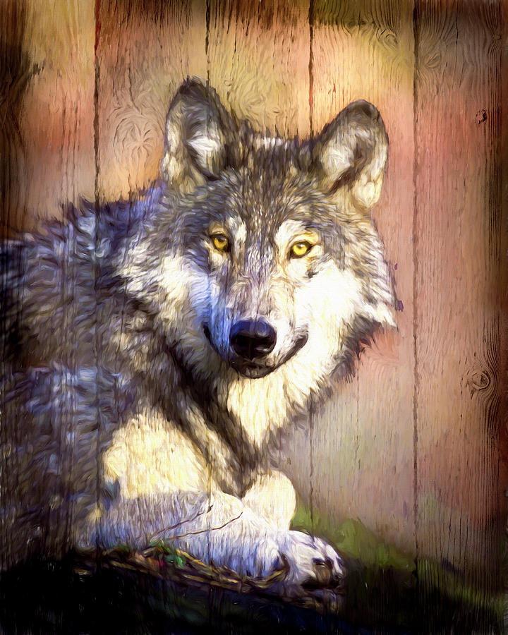 Portrait of a Wolf Painting Digital Art by Debra and Dave Vanderlaan