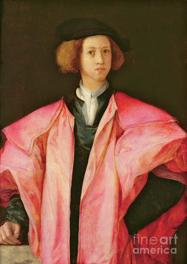 Portrait Of A Young Man Painting by Jacopo Pontormo