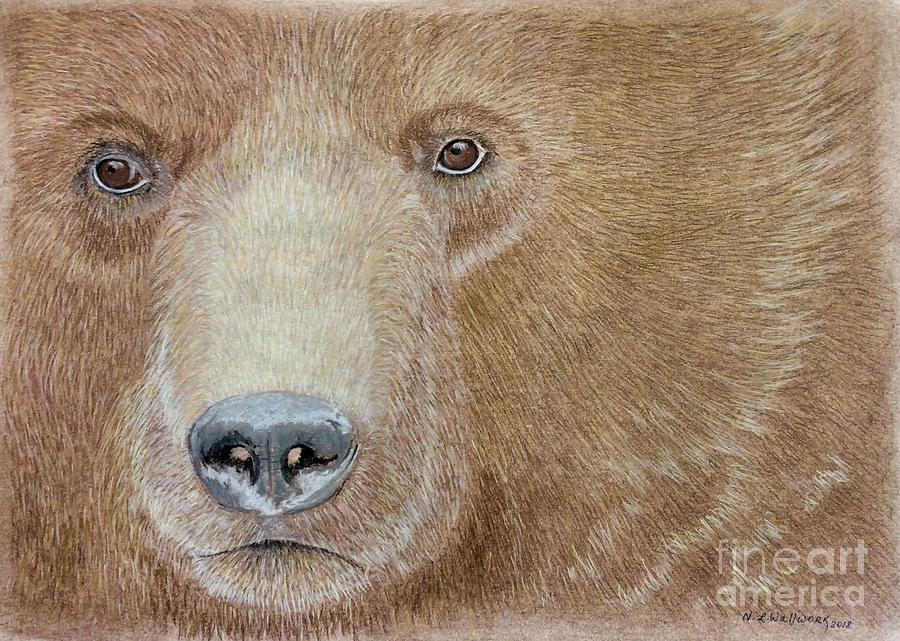 Portrait of Bear Pastel by Natalia Wallwork