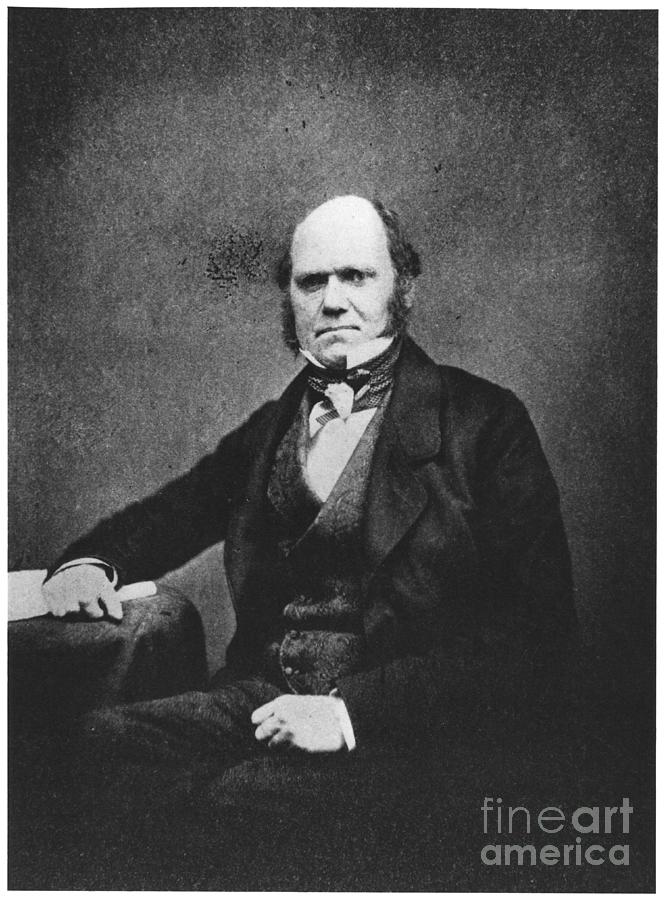 Portrait Of Charles Darwin Photograph by French Photographer Fine Art Portrait Of Charles Darwin Photograph by French Photographer Fine Art