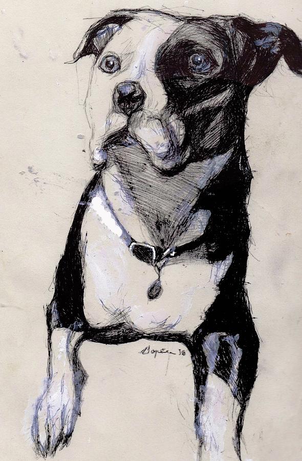 Portrait of Daisy Drawing by Sophia Ursula | Fine Art America