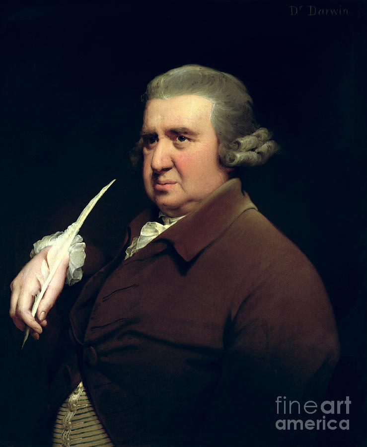 Portrait Of Dr Erasmus Darwin Painting by Joseph Wright Of Derby