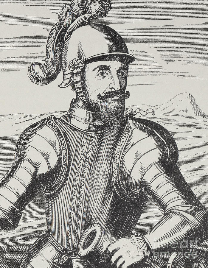 Portrait of Gabriel de Rojas, General of the Artillery Drawing by Spanish School