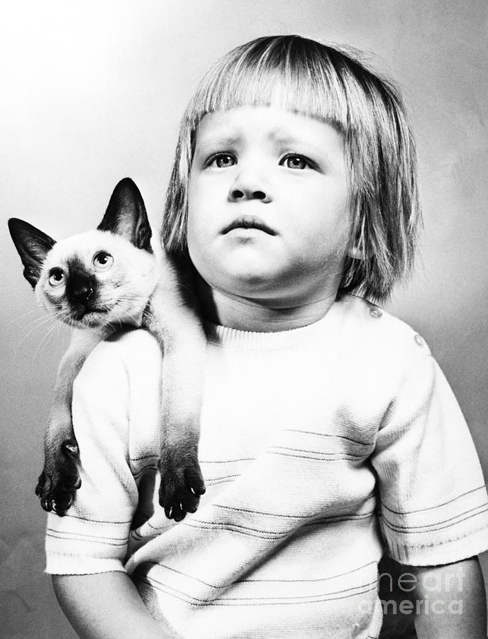 Portrait Of Girl With Siamese Cat Photograph by Bettmann