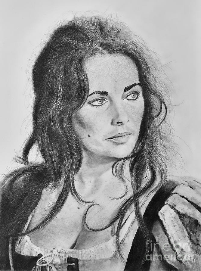 Portrait of Legendary Actress Liz Taylor Drawing by Jim Fitzpatrick