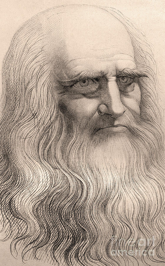 Leonardo Da Vinci Drawing - Portrait of Leonardo Da Vinci  by Italian School