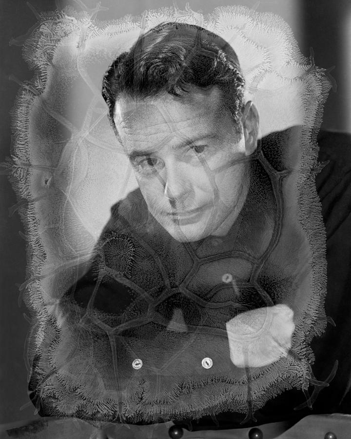 Portrait Of Lew Ayres With Arms Crossed Photograph by Globe Photos ...