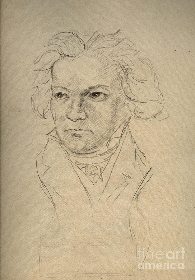 Portrait Of Ludwig Van Beethoven Drawing by Anonymous
