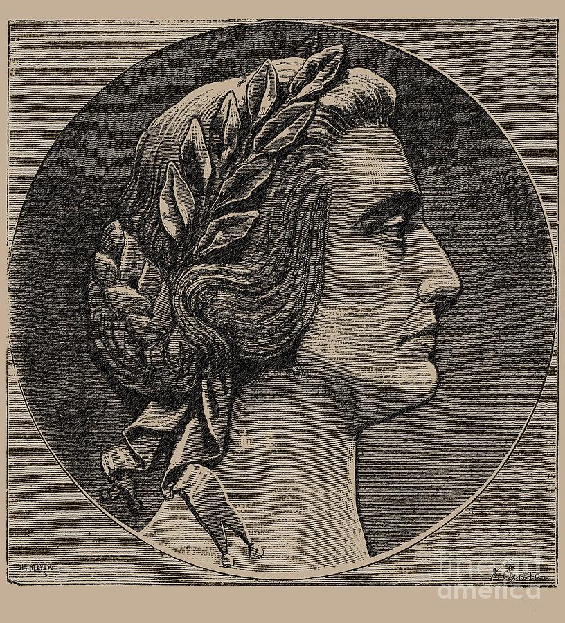 Portrait Of Marie Dagoult 1805-1876 Drawing by Heritage Images