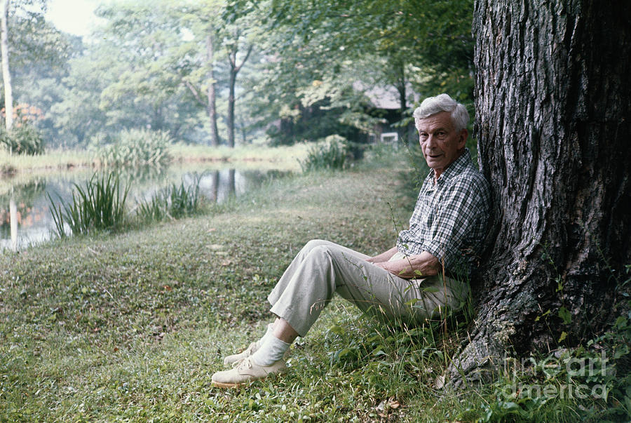 Portrait Of Mark Van Doren Photograph by Bettmann