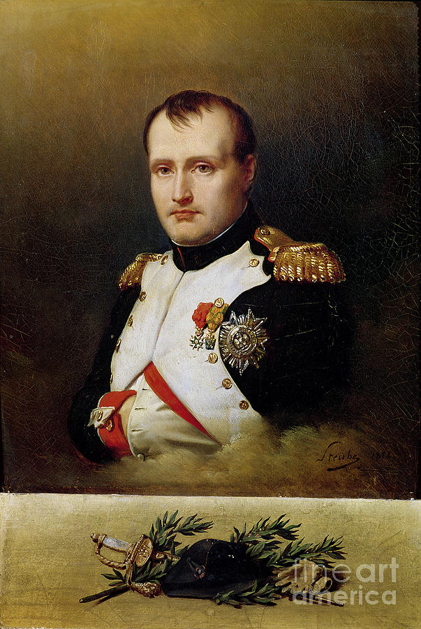 Portrait Of Napoleon I Painting By Charles Auguste Steuben Pixels