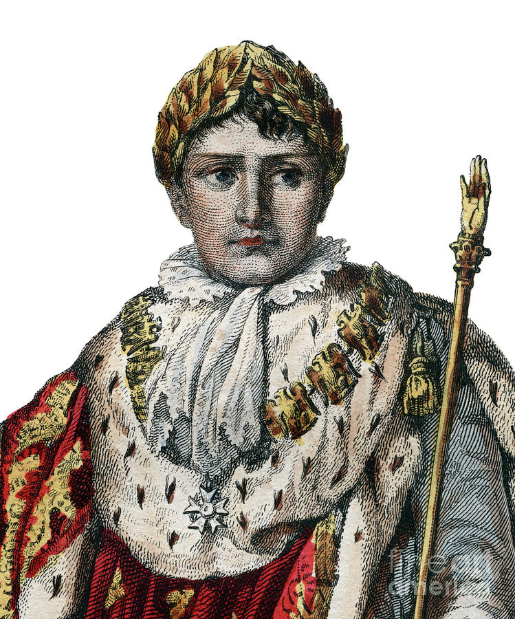 Portrait of Napoleon I Drawing by French School Pixels
