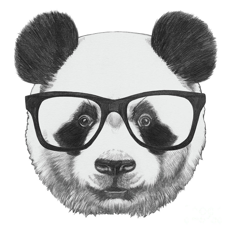 Portrait Of Panda With Glasses Digital Art by Victoria novak
