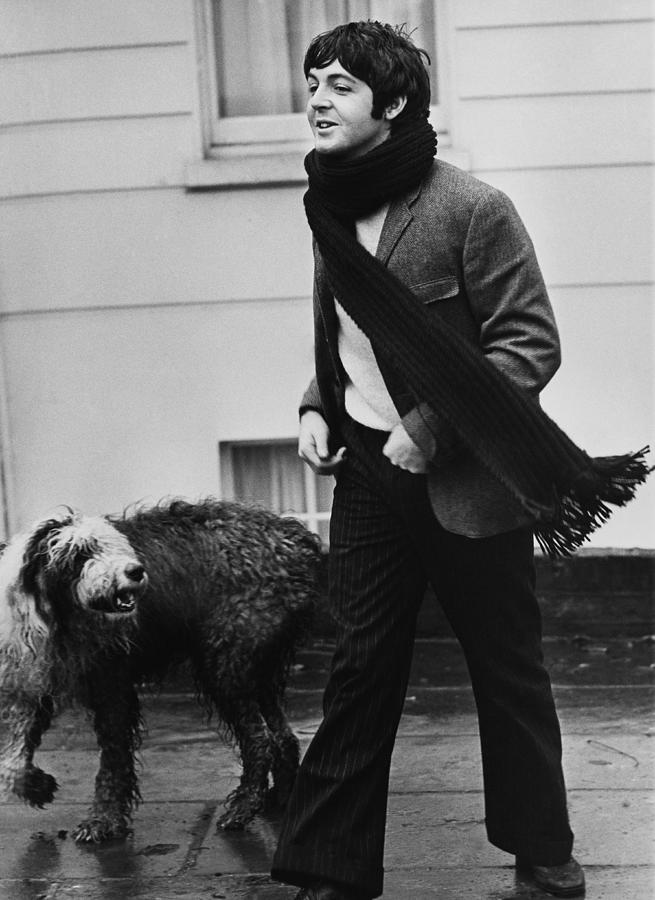 Portrait Of Paul Mccartney With His Dog Photograph by Keystone-france