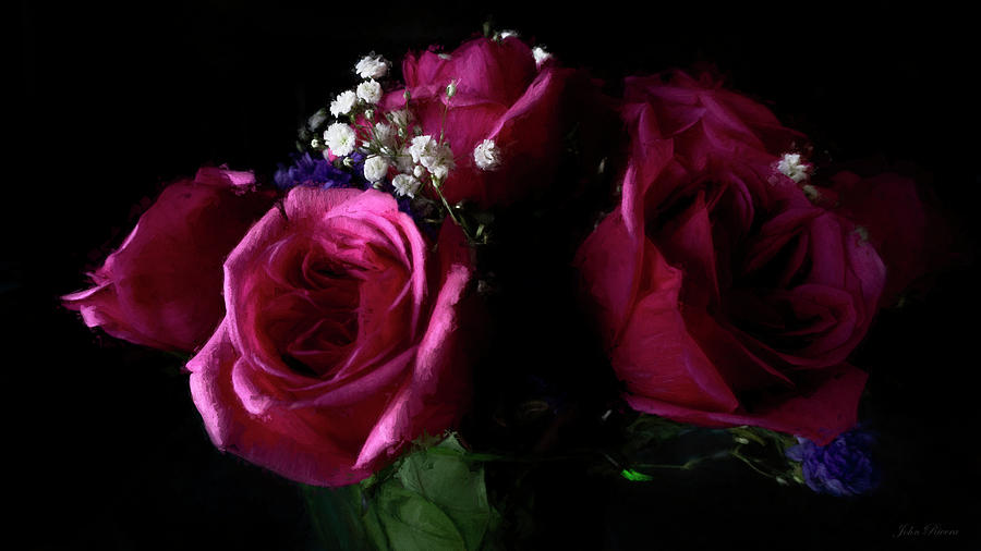 Portrait of Roses Photograph by John Rivera