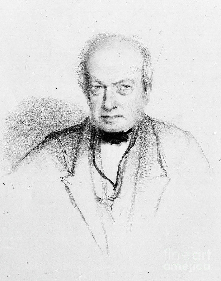 Portrait Of Scottish Botanist Robert Brown Drawing by William Brockedon ...