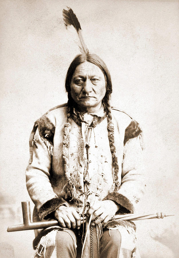 Native American Photograph - Portrait Of Sitting Bull by American School