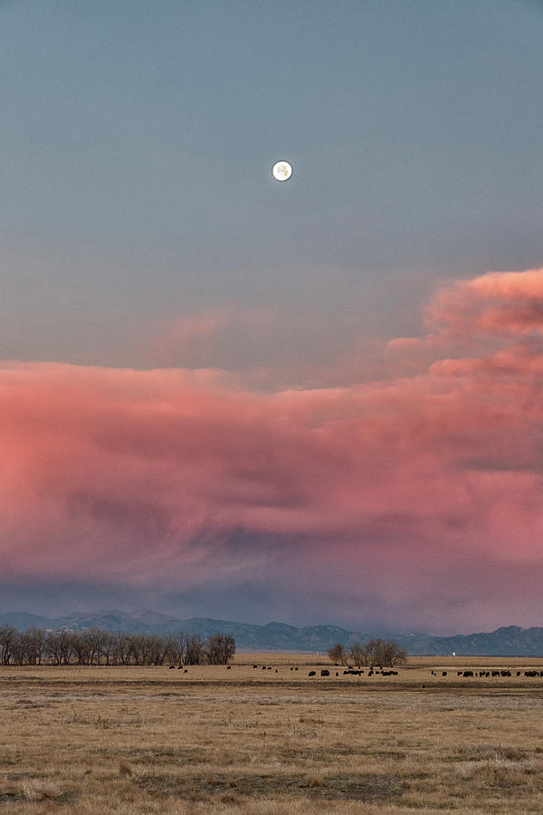 Portrait of the Setting Moon and Sunrise Clouds Photograph by Tony Hake
