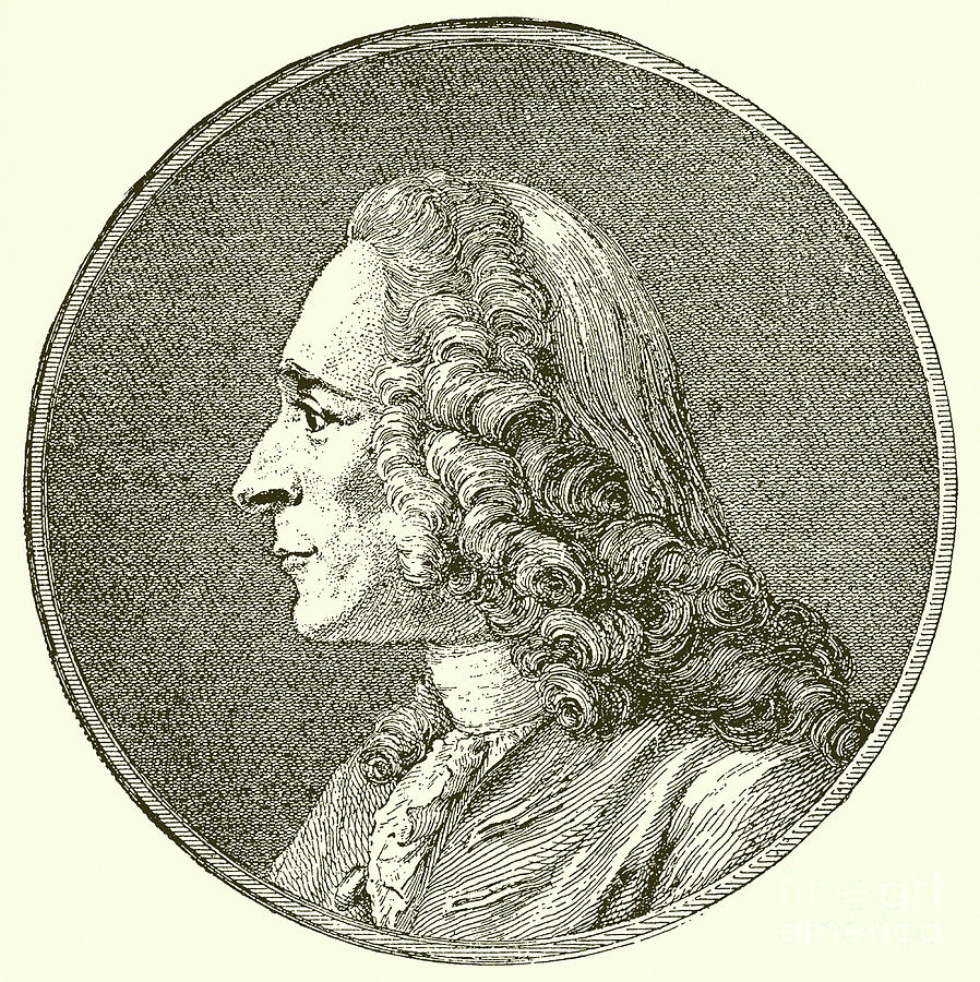 Portrait Drawing - Portrait of the writer Voltaire  by English School