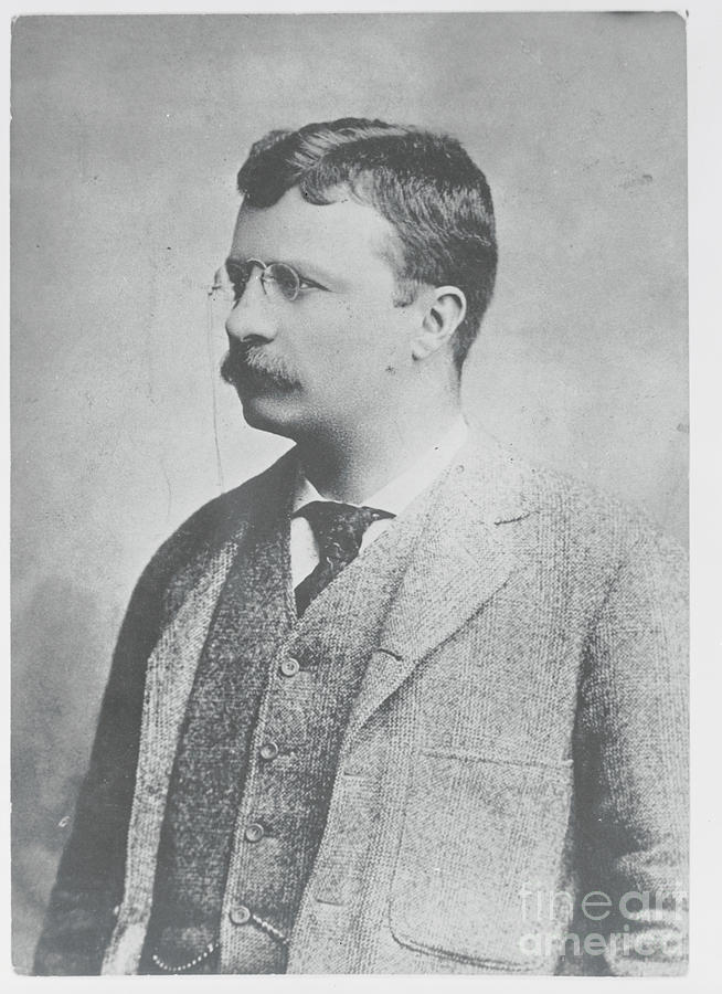 Portrait Of Theodore Roosevelt Photograph by Bettmann