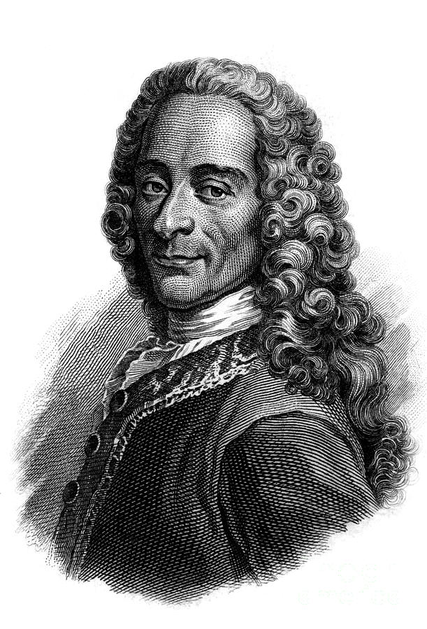 Portrait of Voltaire, engraving Drawing by French School Fine Art America