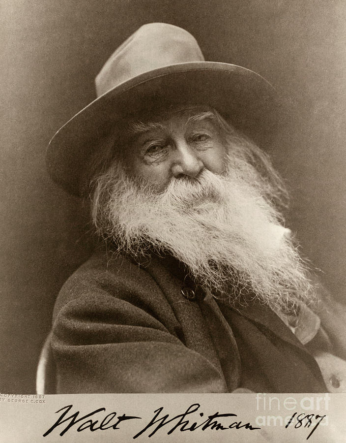 Portrait Of Walt Whitman In 1887, 1887 Photograph by George C. Cox ...