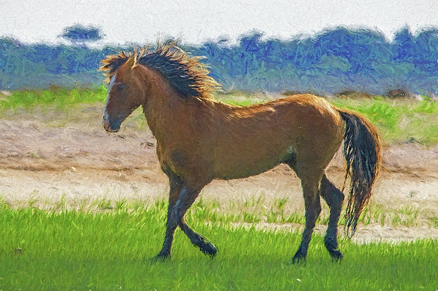 Portrait of wild horse  paintography Photograph by Dan Friend
