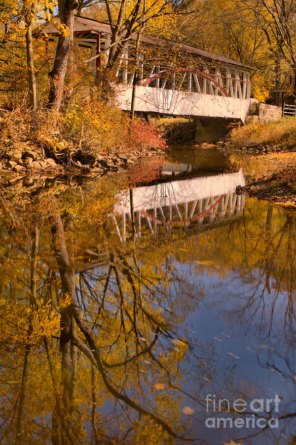 Portrait Reflections Of The Dr. Knisley Covered Bridge  Photograph by Adam Jewell