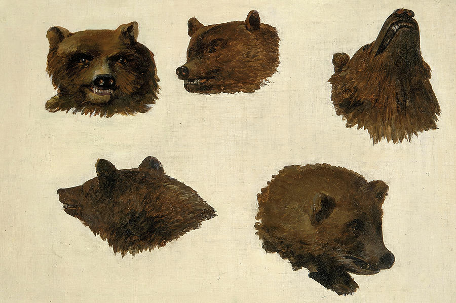 George Catlin Painting - Portraits of Two Grizzly Bears, From Life, 1840 by George Catlin