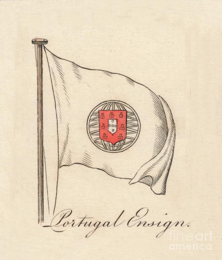 Portugal Ensign, 1838 Drawing by Print Collector