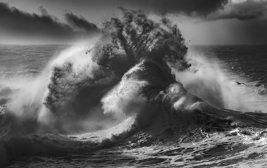 Poseidon Majesty (part 4) Photograph by Paolo Lazzarotti