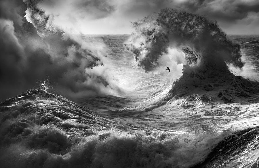 Sea Photograph - Poseidon Majesty (part 5) by Paolo Lazzarotti