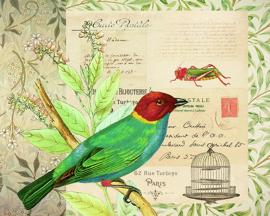 Paris Photograph - Post Card Birds Iv by Cora Niele